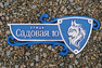 Рельефный знак